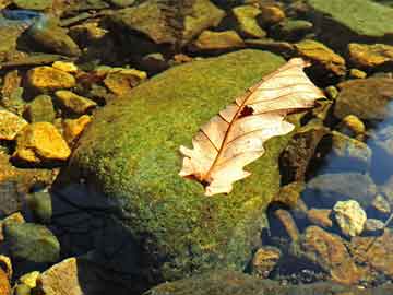 臺(tái)灣海峽深度探究，揭秘僅60米的神秘深度，臺(tái)灣海峽深度揭秘，探尋神秘莫測(cè)的六十米深處