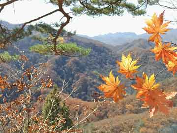 西沙海戰(zhàn)圖片，歷史瞬間的永恒記憶，西沙海戰(zhàn)歷史瞬間，永恒的圖片記憶