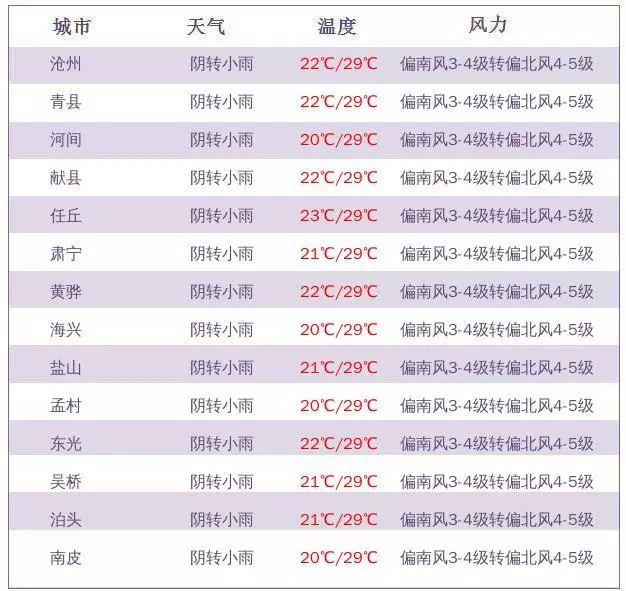 滄州公租房最新消息全面解讀，滄州公租房最新動(dòng)態(tài)全面解析