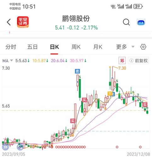 鵬翎股份最新消息全面解讀，鵬翎股份最新消息全面解讀與分析