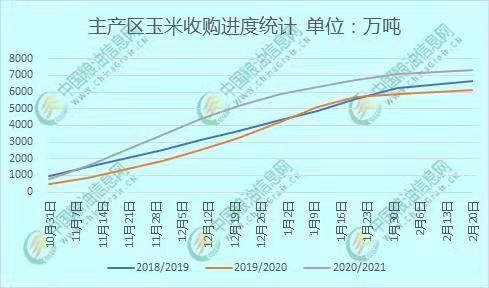 全國玉米價格最新行情分析，全國玉米價格最新行情解析