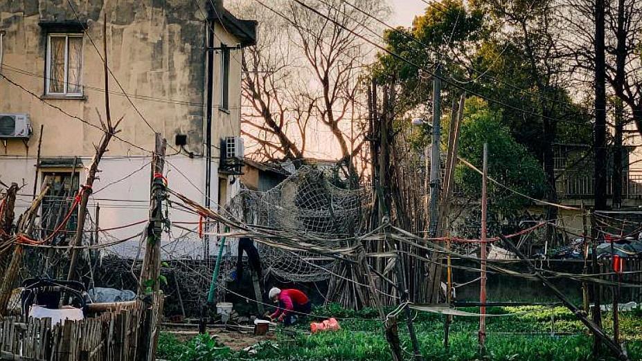 上海最新拆遷動態(tài)，變化中的城市面貌與居民生活，上海拆遷最新動態(tài)，城市面貌與居民生活的變遷