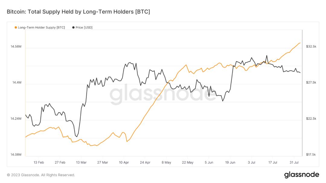 BTC最新價(jià)格行情分析，BTC最新價(jià)格行情解析