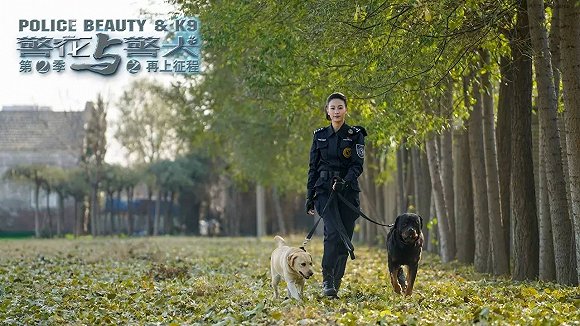 警花與警犬2最新消息，熱血回歸，人與犬的正義新篇章，警花與警犬2熱血回歸，人與犬的正義新篇章最新消息