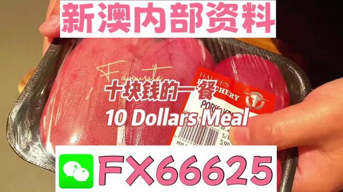 關(guān)于新澳全年免費(fèi)資料大全的警示與探討，新澳全年免費(fèi)資料大全，警示與探討