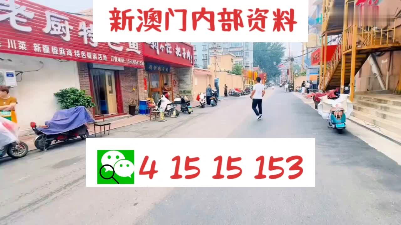 新澳門2024年資料大全管家婆，探索與預(yù)測(cè)，澳門未來(lái)趨勢(shì)展望，2024年資料大全與預(yù)測(cè)分析