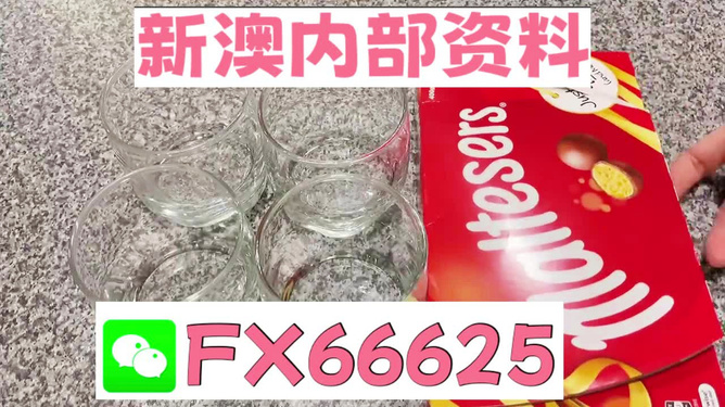 澳門正版資料免費大全新聞——警惕違法犯罪風(fēng)險，澳門正版資料免費大全新聞需警惕潛在違法犯罪風(fēng)險