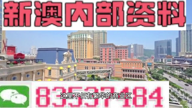 關于新澳新澳門正版資料的探討與警示——一個關于違法犯罪問題的探討，關于新澳新澳門正版資料的探討與警示，揭示違法犯罪風險及應對之道