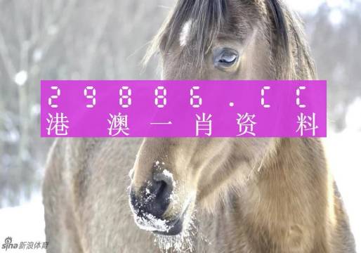 澳門精準(zhǔn)一肖一碼100%，揭示背后的違法犯罪問題，澳門精準(zhǔn)一肖一碼背后的違法犯罪問題揭秘