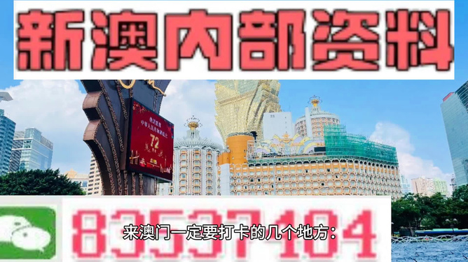 澳門正版精準(zhǔn)免費大全——揭示違法犯罪問題，澳門正版精準(zhǔn)免費大全揭秘違法犯罪問題