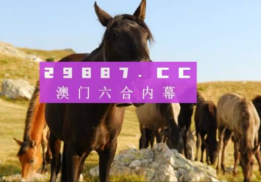 澳門管家婆免費(fèi)資料查詢系統(tǒng)，探索與解析（2024版），澳門管家婆免費(fèi)資料查詢系統(tǒng)解析（最新2024版）