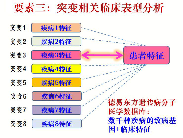 臺(tái)塑石化倒閉原因分析，臺(tái)塑石化倒閉原因深度解析