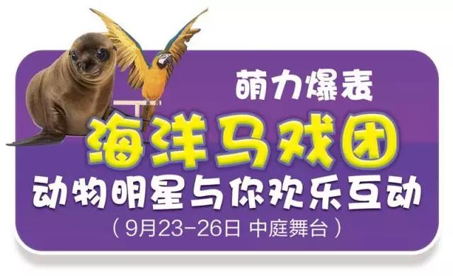 新奧門天天開獎資料大全與違法犯罪問題，新奧門天天開獎資料與違法犯罪問題探討