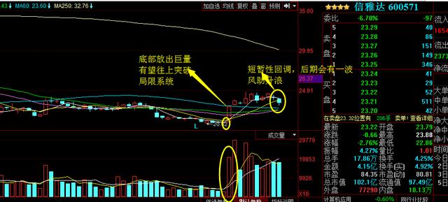 浙大網(wǎng)新為何不漲，深度探究與理性分析，浙大網(wǎng)新股價不漲背后的原因深度探究與理性分析