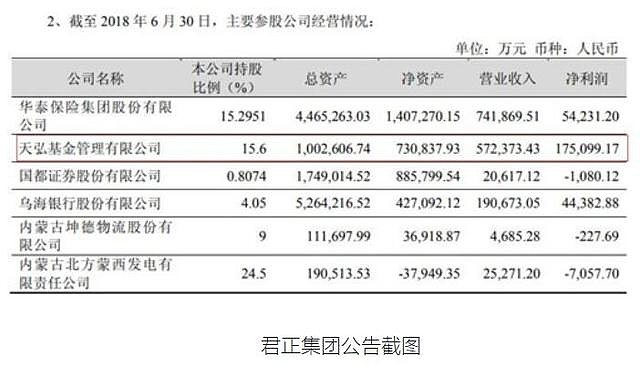 君正集團(tuán)未來估值，展望與預(yù)測