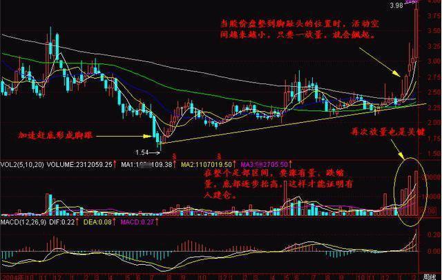 探尋未來之星，2025年有望翻十倍的潛力股票，探尋未來之星，潛力股票展望2025年十倍增長之路