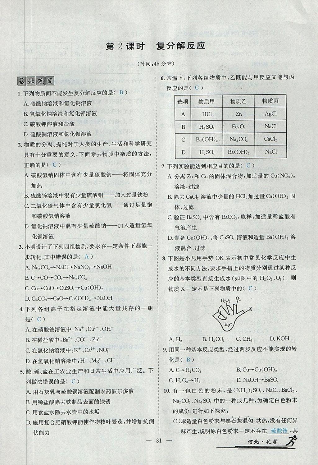 2024新奧免費資料,最新答案解析說明_WP版31.146