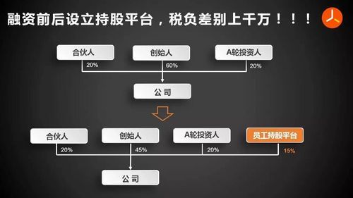 全民持股十大平臺(tái)，重塑經(jīng)濟(jì)格局的關(guān)鍵力量，全民持股十大平臺(tái)，重塑經(jīng)濟(jì)格局的驅(qū)動(dòng)力