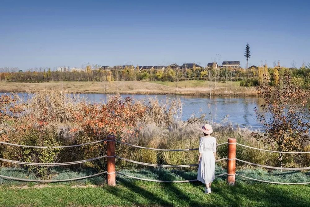 西安最新濕地公園，生態(tài)與文化的完美融合，西安最新濕地公園，生態(tài)與文化的和諧共融