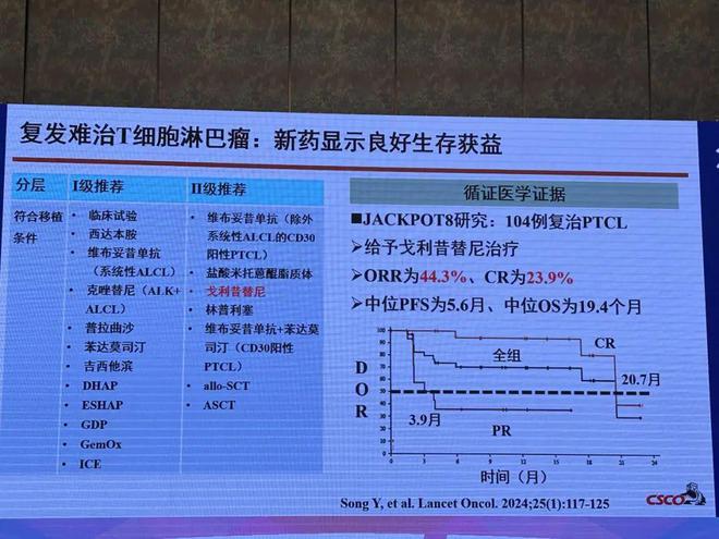 2024年新澳門(mén)今晚開(kāi)獎(jiǎng)結(jié)果2024年,綜合研究解釋定義_R版11.337