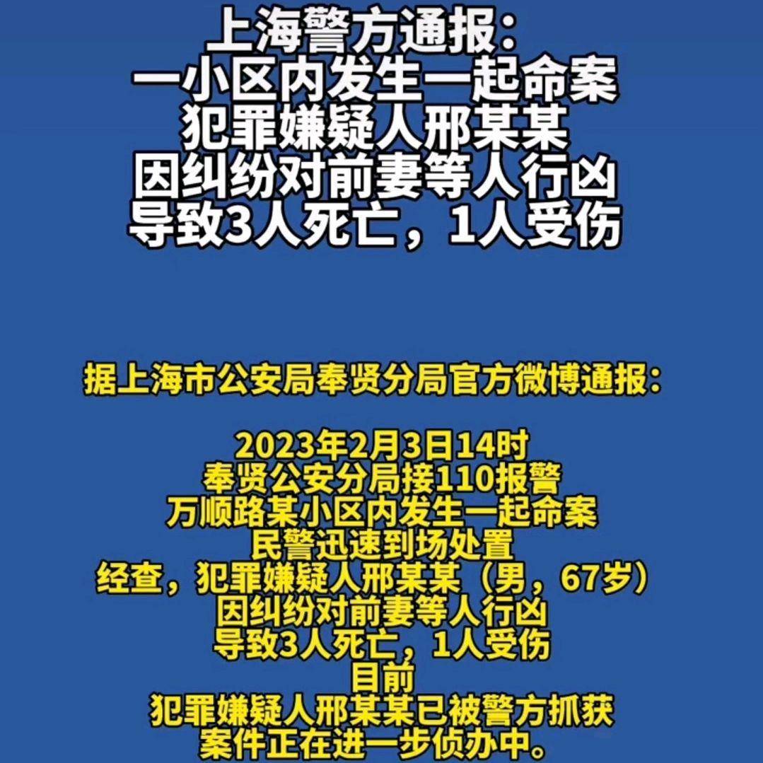 上海某小區(qū)發(fā)生刑案致一死，悲劇背后的警示與反思，上海小區(qū)刑案致一死，悲劇背后的警示與反思