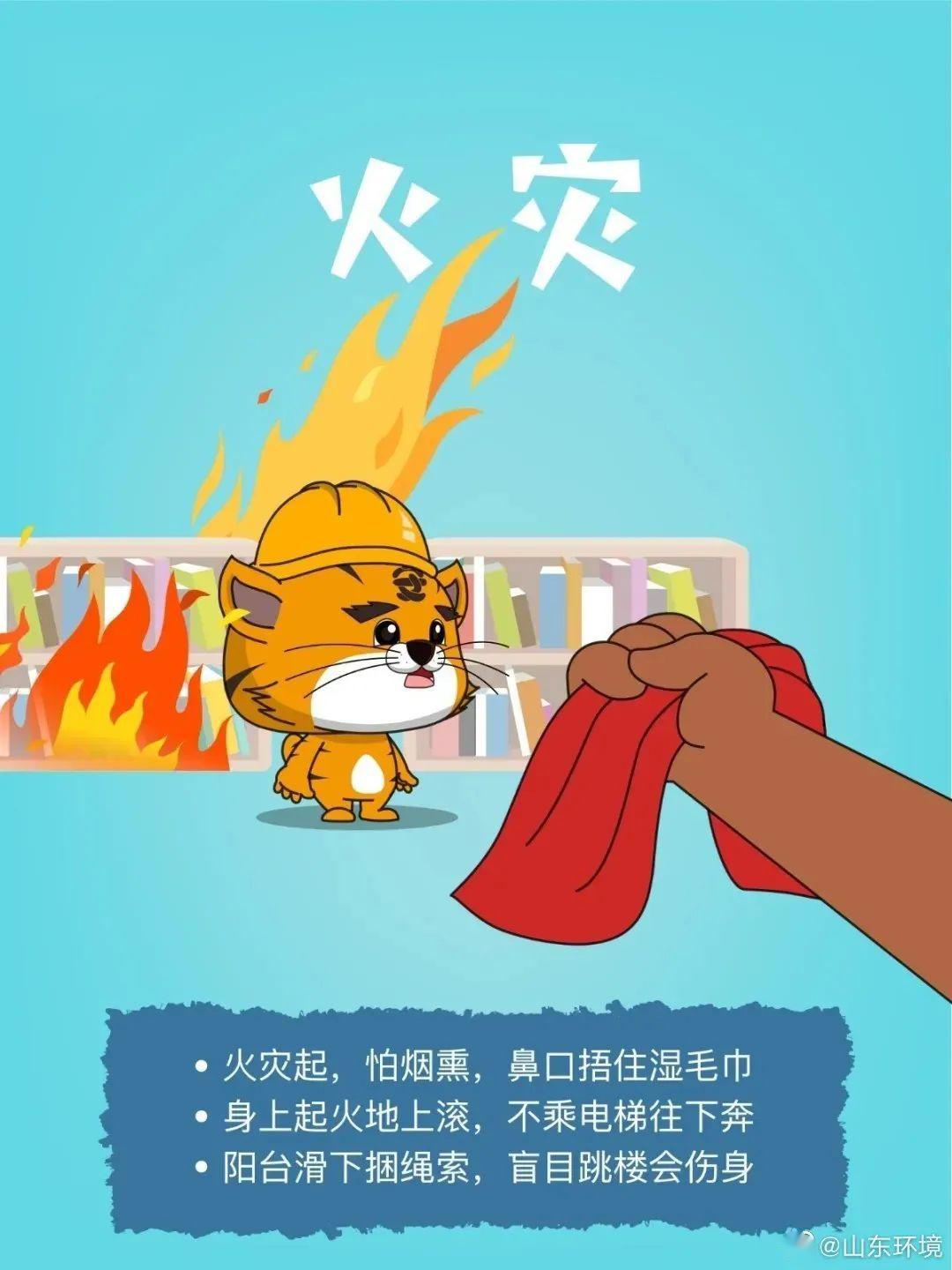 探究猴災影響，未來至2025年的挑戰(zhàn)與應對策略，猴災影響深度解析，至2025年的挑戰(zhàn)與應對策略