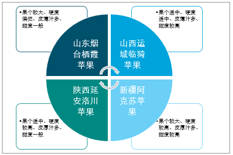 陜西蘋(píng)果產(chǎn)業(yè)全產(chǎn)業(yè)鏈深度解析，陜西蘋(píng)果產(chǎn)業(yè)全產(chǎn)業(yè)鏈深度探究