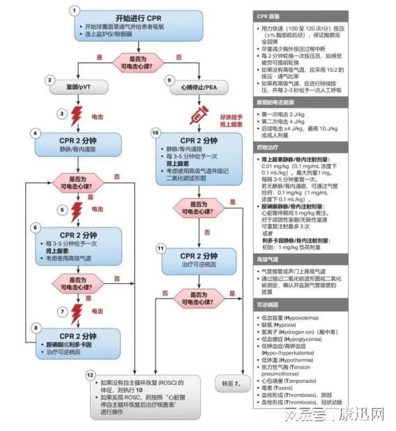 最新CPR（心肺復(fù)蘇術(shù)）流程詳解，最新CPR（心肺復(fù)蘇術(shù)）流程全面解析