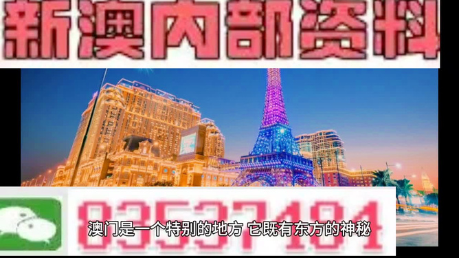 探索澳門特馬的世界，2024年的今晚，澳門特馬世界的探索之旅，2024年今晚之夜