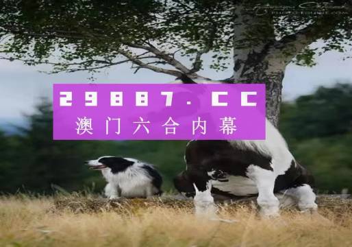 澳門今晚開特馬四不像圖——探索澳門彩票的奧秘，澳門彩票奧秘探索，特馬四不像圖今晚揭曉