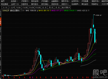 股吧600309，深度解析與前景展望，股吧600309深度解析與未來前景展望