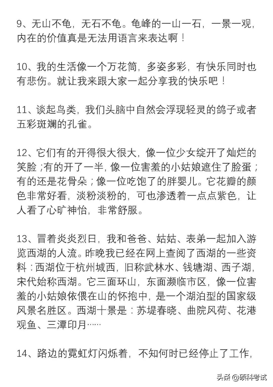 四年級新聞?wù)?，一則關(guān)于環(huán)保的新聞報道，四年級環(huán)保新聞?wù)P(guān)注環(huán)境保護的最新動態(tài)