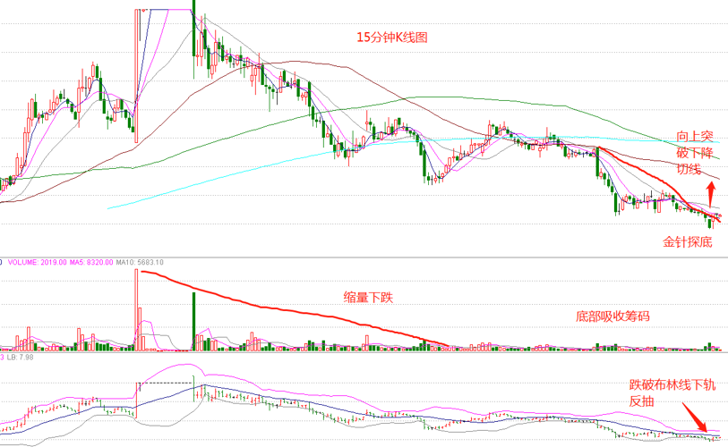 股票000962，深度解析與前景展望，股票000962深度解析與未來前景展望