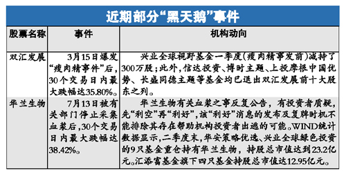 揭秘最準一肖一碼，探尋100%精準評論的背后