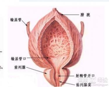 治療前列腺炎的最佳方法，治療前列腺炎的最佳方法解析