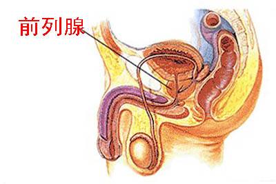 前列腺自我按摩手法圖解，一種有效的自我保健方法，前列腺自我按摩手法圖解，有效保健新方法！