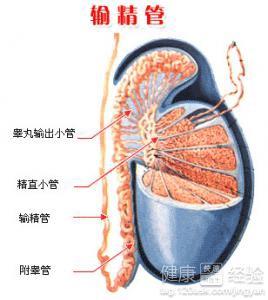 男性結(jié)扎手術(shù)費(fèi)用多少，全面解析費(fèi)用構(gòu)成與影響因素，男性結(jié)扎手術(shù)費(fèi)用詳解，構(gòu)成、影響因素全解析