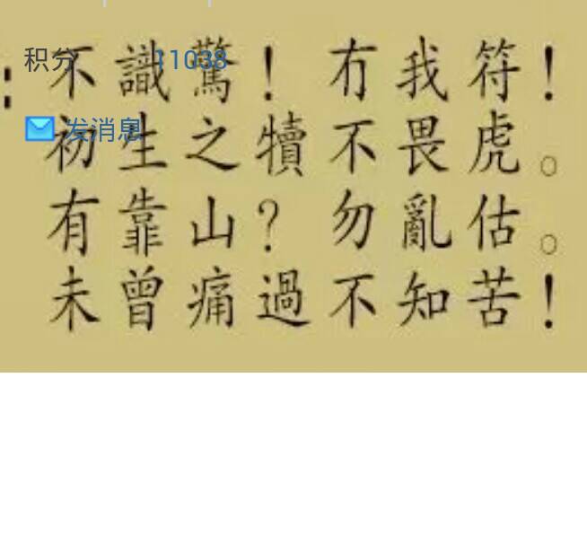 劉伯溫高手論壇與解肖之道，深度探索一句話的智慧，劉伯溫高手論壇與解肖之道，深度解析一句話的智慧之道