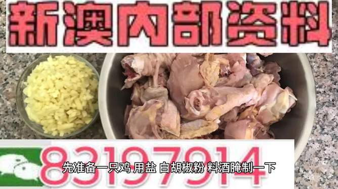 探索未來的澳門——關(guān)于新澳門資料雞號(hào)的深度解析，澳門未來展望，深度解析新澳門資料雞號(hào)