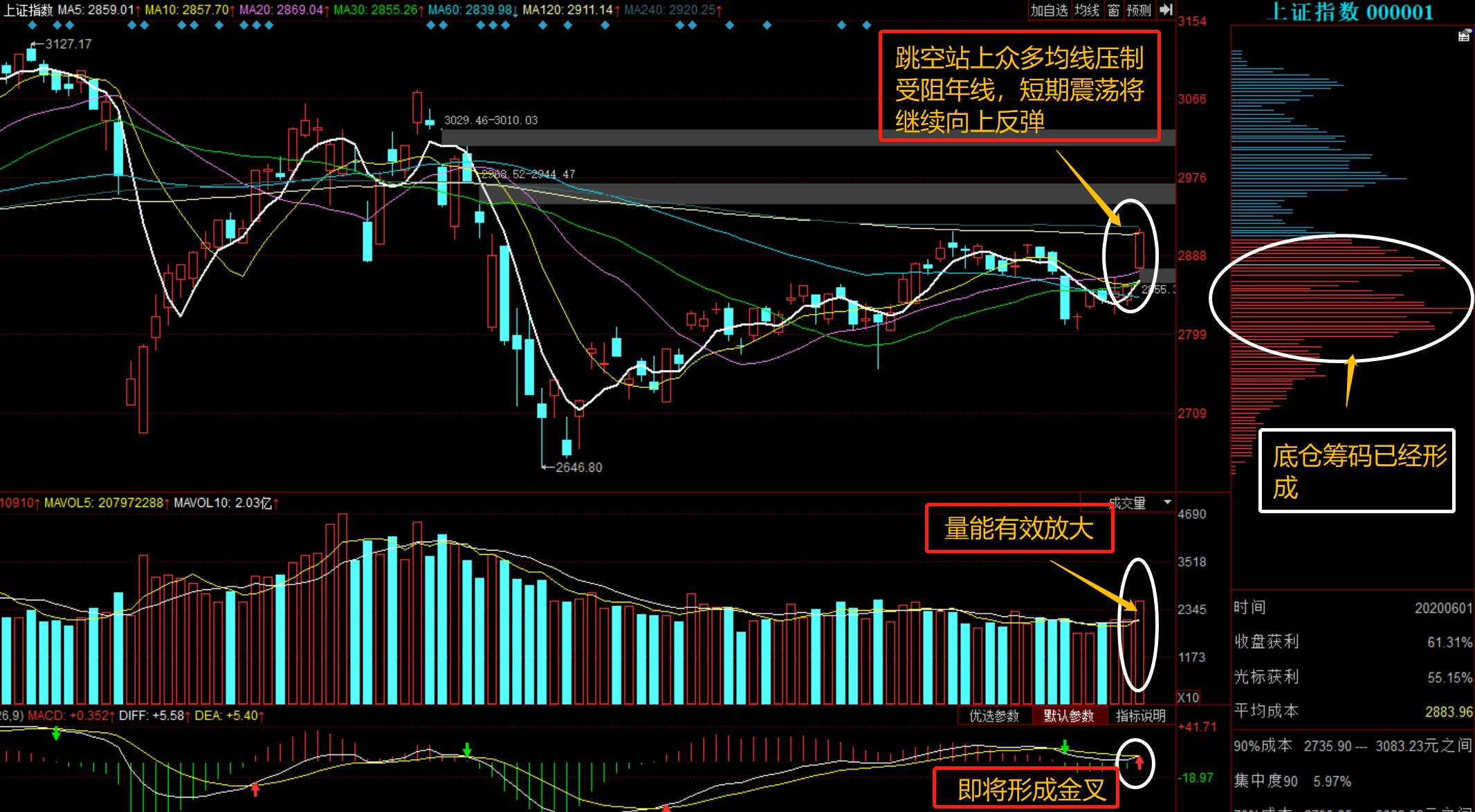 股票行情深度解析，聚焦600736，股票深度解析，聚焦代碼600736的行情動態(tài)