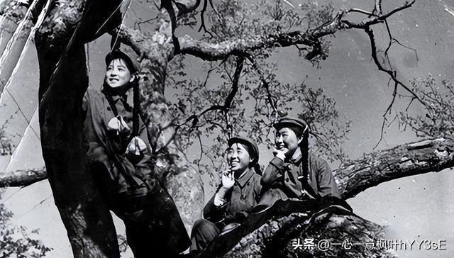 探索女兵報(bào)名入口官網(wǎng)，2023年的機(jī)遇與挑戰(zhàn)，女兵報(bào)名入口官網(wǎng)探索，2023年的機(jī)遇與挑戰(zhàn)揭秘