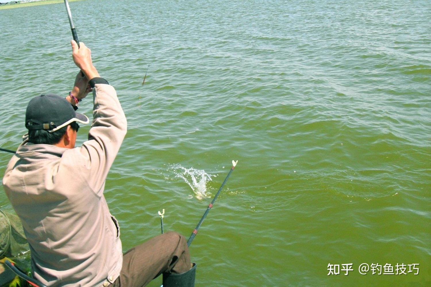 釣魚(yú)技巧詳解，如何精準(zhǔn)捕捉心儀的魚(yú)獲，釣魚(yú)技巧全解析，精準(zhǔn)捕捉心儀魚(yú)獲攻略