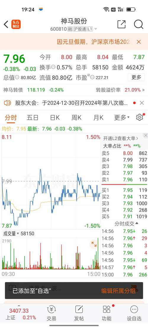 神馬股份（股票代碼，600810）股吧深度解析，神馬股份（股票代碼，600810）股吧全面深度解析