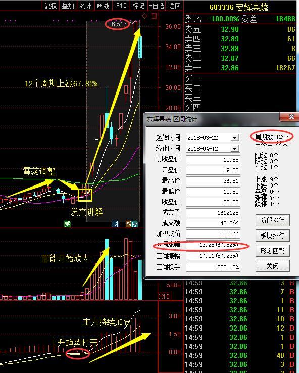 股票603336，深度解析與前景展望，股票603336深度解析與前景展望，投資視角分析