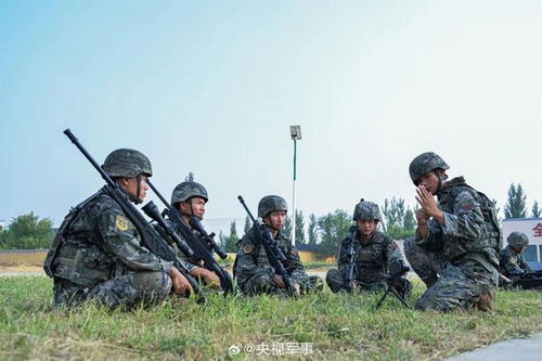 關(guān)于2024征兵報名網(wǎng)站入口的介紹與使用指南，2024征兵報名網(wǎng)站入口介紹及操作指南